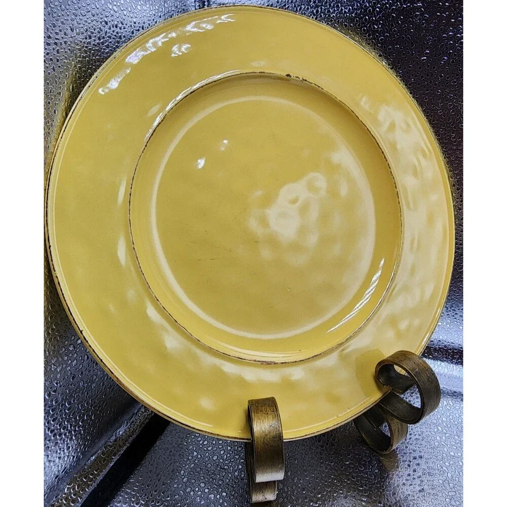 Pier 1 Martillo Mango Stoneware Dinner Plates (Set Of 4) READ!!!!!!!